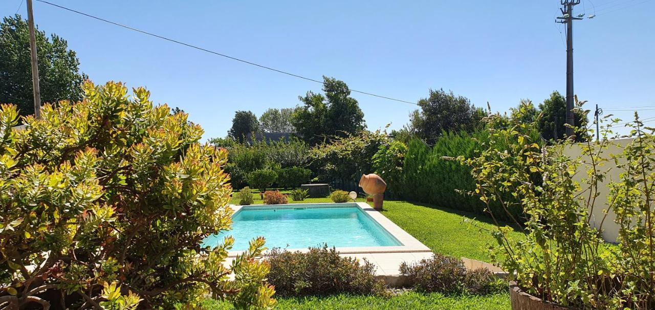 Villa House With Pool Casa Da Faia - Aveiro Avanca Esterno foto